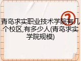 青岛求实职业技术学院有几个校区,有多少人(青岛求实学院规模)