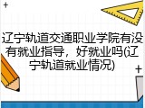 辽宁轨道交通职业学院有没有就业指导，好就业吗(辽宁轨道就业情况)