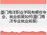 厦门南洋职业学院有哪些专业，就业前景如何(厦门南洋专业就业前景)