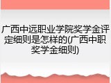 广西中远职业学院奖学金评定细则是怎样的(广西中职奖学金细则)