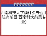 西南科技大学读什么专业比较有前景(西南科大前景专业)