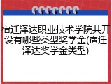 宿迁泽达职业技术学院共开设有哪些类型奖学金(宿迁泽达奖学金类型)