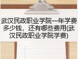 武汉民政职业学院一年学费多少钱，还有哪些费用(武汉民政职业学院学费)
