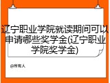 辽宁职业学院就读期间可以申请哪些奖学金(辽宁职业学院奖学金)