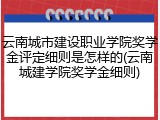 云南城市建设职业学院奖学金评定细则是怎样的(云南城建学院奖学金细则)