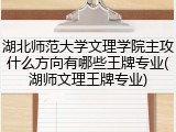 湖北师范大学文理学院主攻什么方向有哪些王牌专业(湖师文理王牌专业)