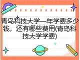 青岛科技大学一年学费多少钱，还有哪些费用(青岛科技大学学费)