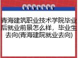 青海建筑职业技术学院毕业后就业前景怎么样，毕业生去向(青海建院就业去向)