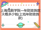 上海戏剧学院一年财政拨款大概多少钱(上戏年财政拨款)