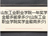 山东工业职业学院一年奖学金最多能拿多少(山东工业职业学院奖学金最高多少)