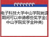 电子科技大学中山学院就读期间可以申请哪些奖学金(中山学院奖学金种类)