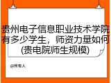 贵州电子信息职业技术学院有多少学生，师资力量如何(贵电院师生规模)