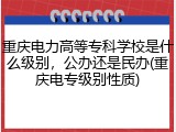 重庆电力高等专科学校是什么级别，公办还是民办(重庆电专级别性质)