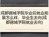 成都锦城学院毕业后就业前景怎么样，毕业生去向(成都锦城学院就业去向)