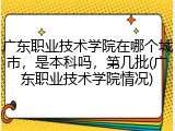 广东职业技术学院在哪个城市，是本科吗，第几批(广东职业技术学院情况)