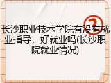 长沙职业技术学院有没有就业指导，好就业吗(长沙职院就业情况)