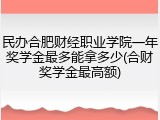 民办合肥财经职业学院一年奖学金最多能拿多少(合财奖学金最高额)