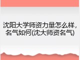 沈阳大学师资力量怎么样，名气如何(沈大师资名气)