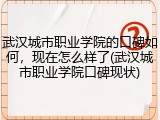 武汉城市职业学院的口碑如何，现在怎么样了(武汉城市职业学院口碑现状)