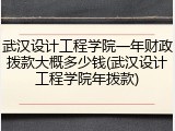 武汉设计工程学院一年财政拨款大概多少钱(武汉设计工程学院年拨款)