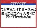 民办万博科技职业学院就读的真实感觉如何(万博科技职业学院就读体验)
