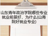 山东青年政治学院哪些专业就业前景好，为什么(山青院好就业专业)