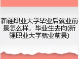 新疆职业大学毕业后就业前景怎么样，毕业生去向(新疆职业大学就业前景)