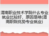 渭南职业技术学院什么专业就业比较好，原因是啥(渭南职院优势专业就业)