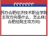 民办合肥经济技术职业学院主攻方向是什么，怎么样(合肥经院主攻方向)
