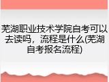 芜湖职业技术学院自考可以去读吗，流程是什么(芜湖自考报名流程)