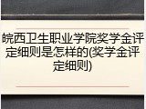 皖西卫生职业学院奖学金评定细则是怎样的(奖学金评定细则)