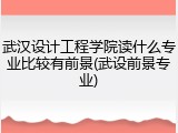 武汉设计工程学院读什么专业比较有前景(武设前景专业)