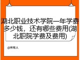 湖北职业技术学院一年学费多少钱，还有哪些费用(湖北职院学费及费用)