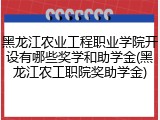 黑龙江农业工程职业学院开设有哪些奖学和助学金(黑龙江农工职院奖助学金)
