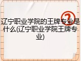辽宁职业学院的王牌专业是什么(辽宁职业学院王牌专业)