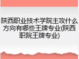 陕西职业技术学院主攻什么方向有哪些王牌专业(陕西职院王牌专业)