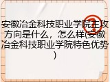 安徽冶金科技职业学院主攻方向是什么，怎么样(安徽冶金科技职业学院特色优势)