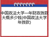 中国政法大学一年财政拨款大概多少钱(中国政法大学年拨款)