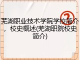 芜湖职业技术学院学校简介，校史概述(芜湖职院校史简介)