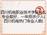 四川机电职业技术学院什么专业最好，一年招多少人(四川机电热门专业人数)