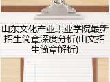 山东文化产业职业学院最新招生简章深度分析(山文招生简章解析)
