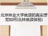 北京林业大学就读的真实感觉如何(北林就读体验)