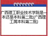 广西理工职业技术学院是一本还是本科第二批(广西理工属本科第二批)