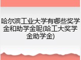 哈尔滨工业大学有哪些奖学金和助学金呢(哈工大奖学金助学金)