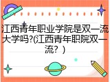 江西青年职业学院是双一流大学吗?(江西青年职院双一流？)