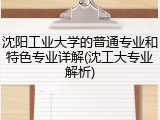 沈阳工业大学的普通专业和特色专业详解(沈工大专业解析)