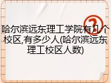 哈尔滨远东理工学院有几个校区,有多少人(哈尔滨远东理工校区人数)