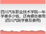 四川汽车职业技术学院一年学费多少钱，还有哪些费用(四川汽院学费及费用)