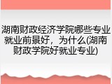 湖南财政经济学院哪些专业就业前景好，为什么(湖南财政学院好就业专业)
