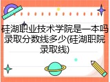 硅湖职业技术学院是一本吗录取分数线多少(硅湖职院录取线)